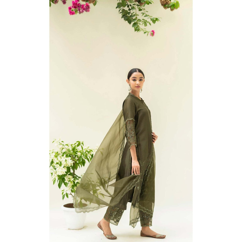 AM by Anita Mittal Green Silk Reverse Applique Kurta with Pant and Dupatta