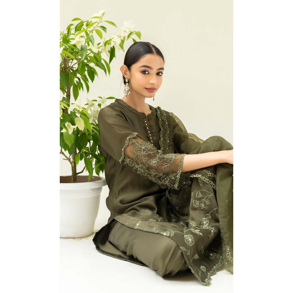 AM by Anita Mittal Green Silk Reverse Applique Kurta with Pant and Dupatta