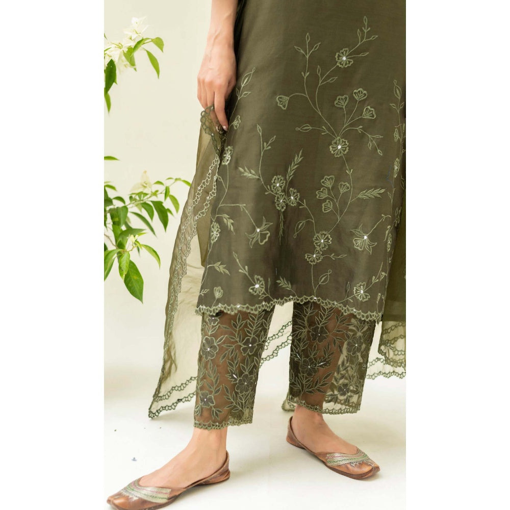AM by Anita Mittal Green Silk Reverse Applique Kurta with Pant and Dupatta