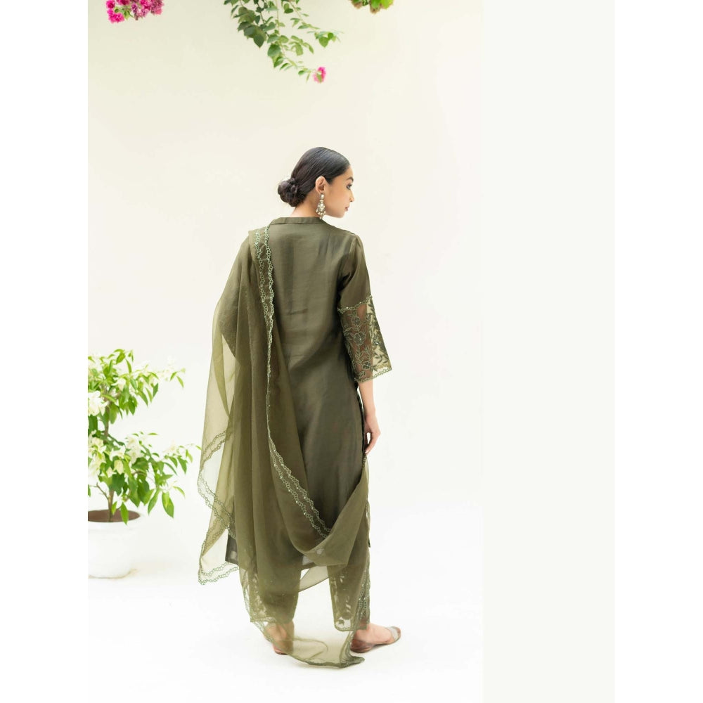 AM by Anita Mittal Green Silk Reverse Applique Kurta with Pant and Dupatta