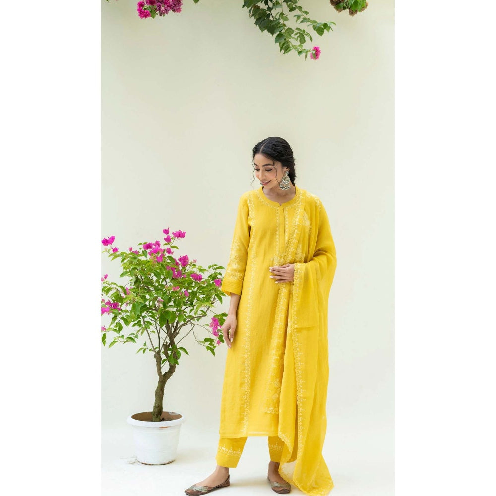 AM by Anita Mittal Yellow Mul Parchhai Kurta with Pant and Dupatta