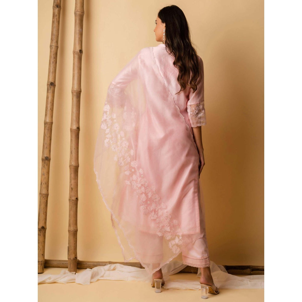 AM by Anita Mittal Pink Applique Kurta with Pant and Dupatta