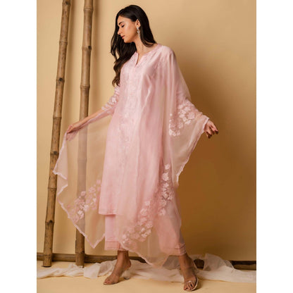 AM by Anita Mittal Pink Applique Kurta with Pant and Dupatta