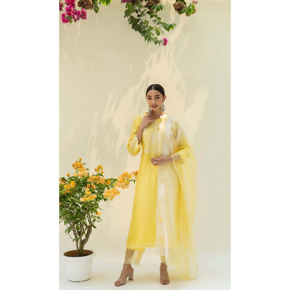 AM by Anita Mittal Yellow Fiza Kurta with Pant and Dupatta