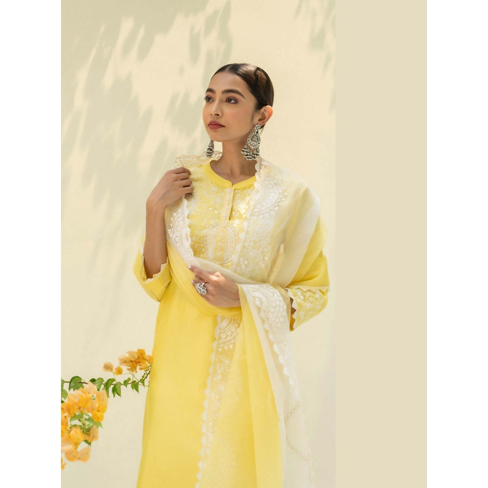 AM by Anita Mittal Yellow Fiza Kurta with Pant and Dupatta