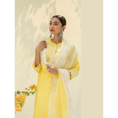 AM by Anita Mittal Yellow Fiza Kurta with Pant and Dupatta