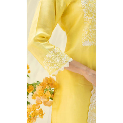 AM by Anita Mittal Yellow Fiza Kurta with Pant and Dupatta