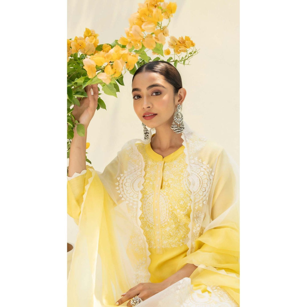 AM by Anita Mittal Yellow Fiza Kurta with Pant and Dupatta