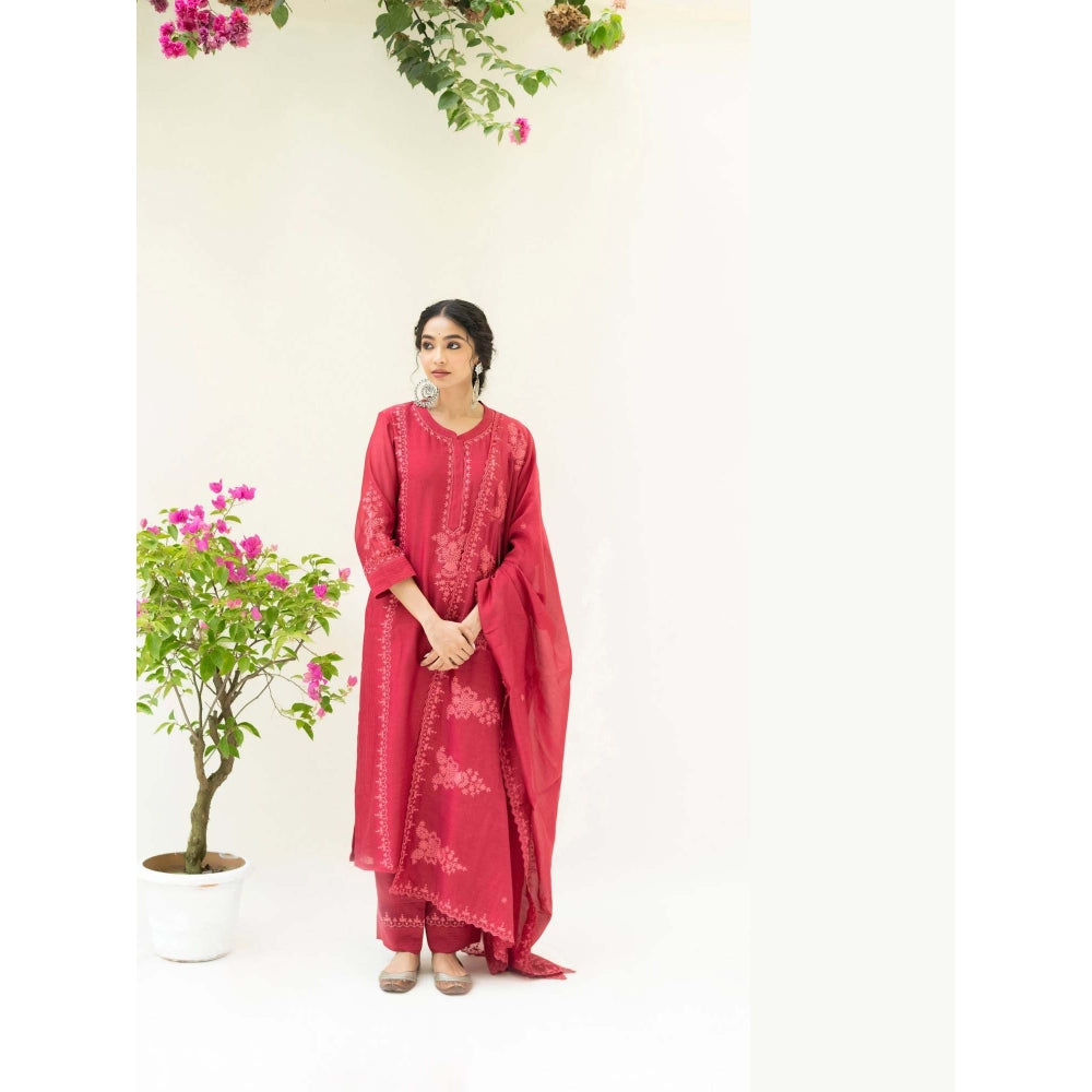 AM by Anita Mittal Red Parchhai Kurta with Pant and Dupatta