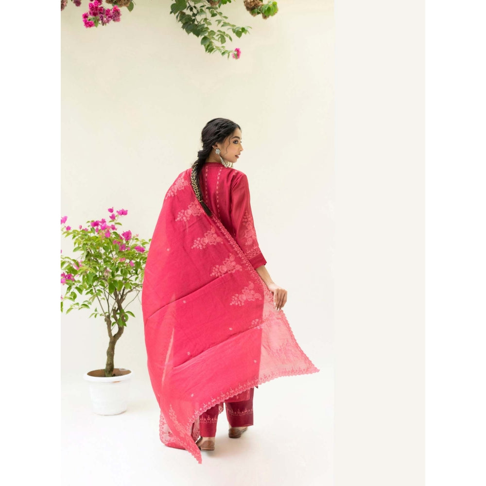 AM by Anita Mittal Red Parchhai Kurta with Pant and Dupatta