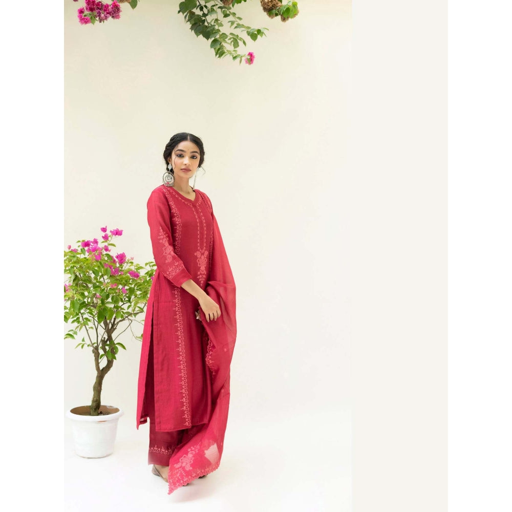 AM by Anita Mittal Red Parchhai Kurta with Pant and Dupatta