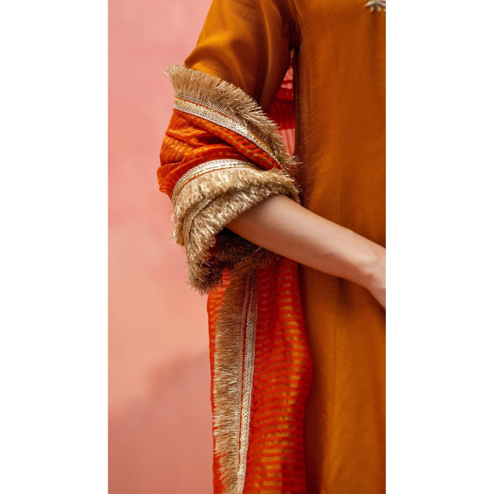 AM by Anita Mittal Anjum Mustard Kurta with Pant and Dupatta