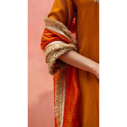 AM by Anita Mittal Anjum Mustard Kurta with Pant and Dupatta