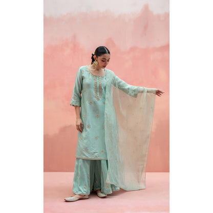 AM by Anita Mittal Noor Blue Kurta with Sharara and Dupatta