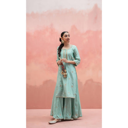 AM by Anita Mittal Noor Blue Kurta with Sharara and Dupatta
