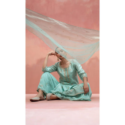 AM by Anita Mittal Noor Blue Kurta with Sharara and Dupatta