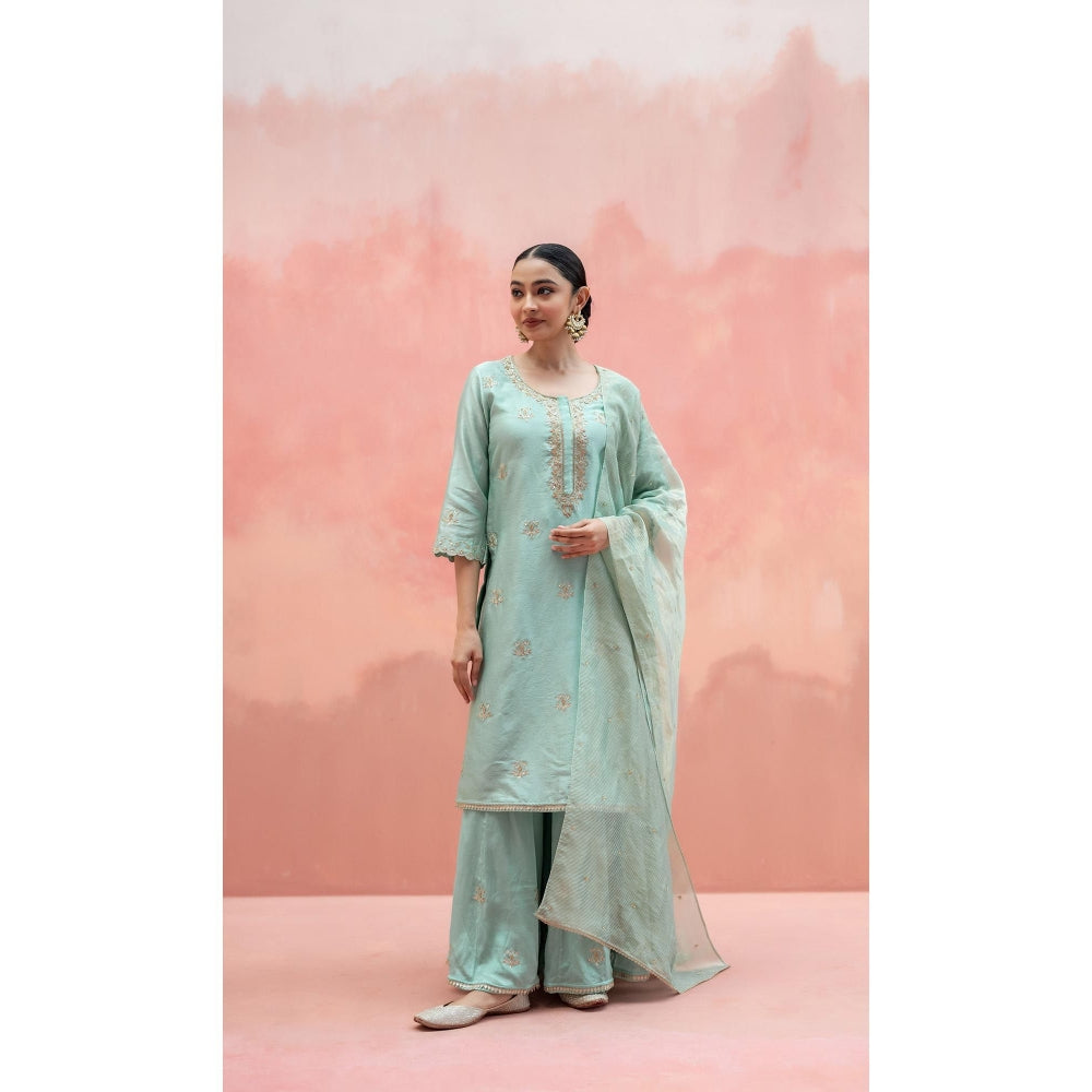 AM by Anita Mittal Noor Blue Kurta with Sharara and Dupatta