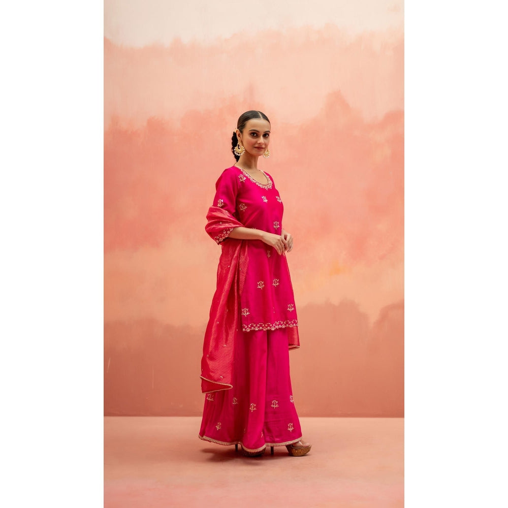 AM by Anita Mittal Noor Pink Kurta with Sharara and Dupatta
