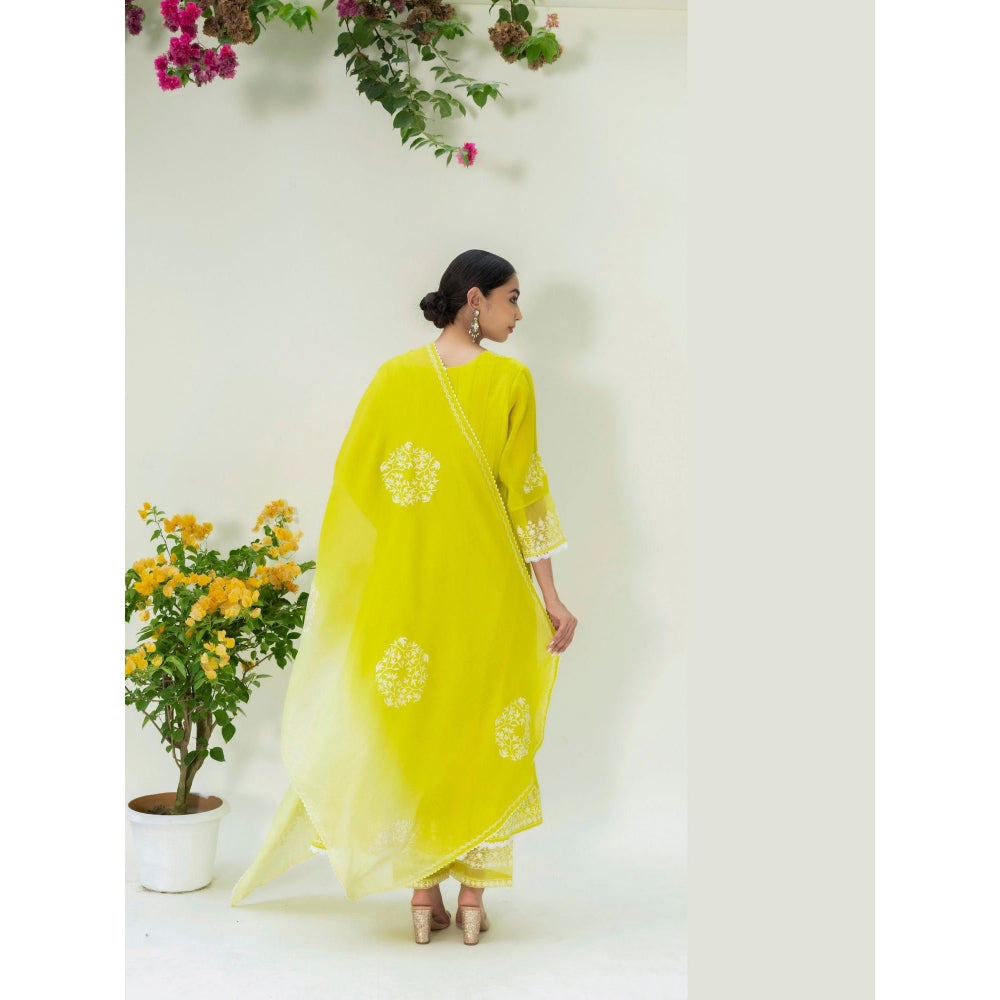 AM by Anita Mittal Green Parchhai Anarkali Kurta with Pant and Dupatta