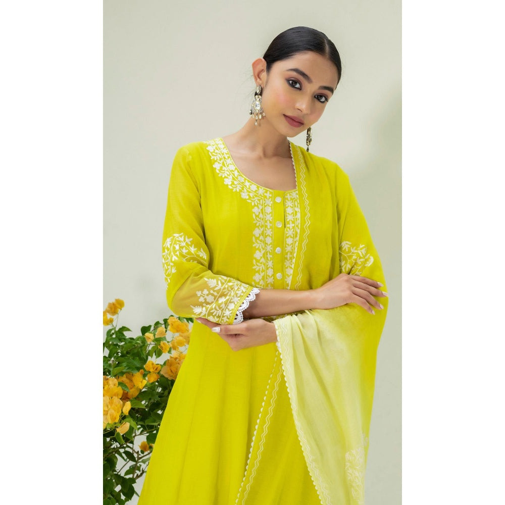 AM by Anita Mittal Green Parchhai Anarkali Kurta with Pant and Dupatta