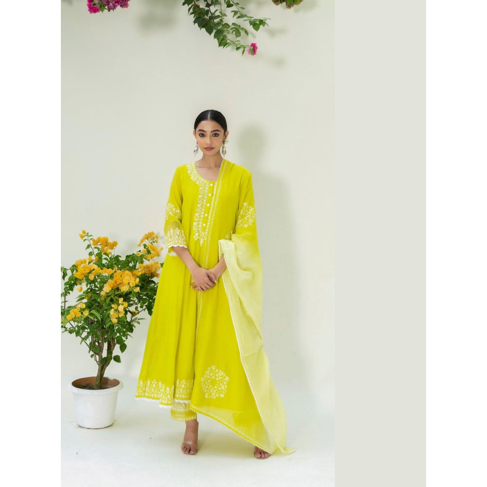AM by Anita Mittal Green Parchhai Anarkali Kurta with Pant and Dupatta