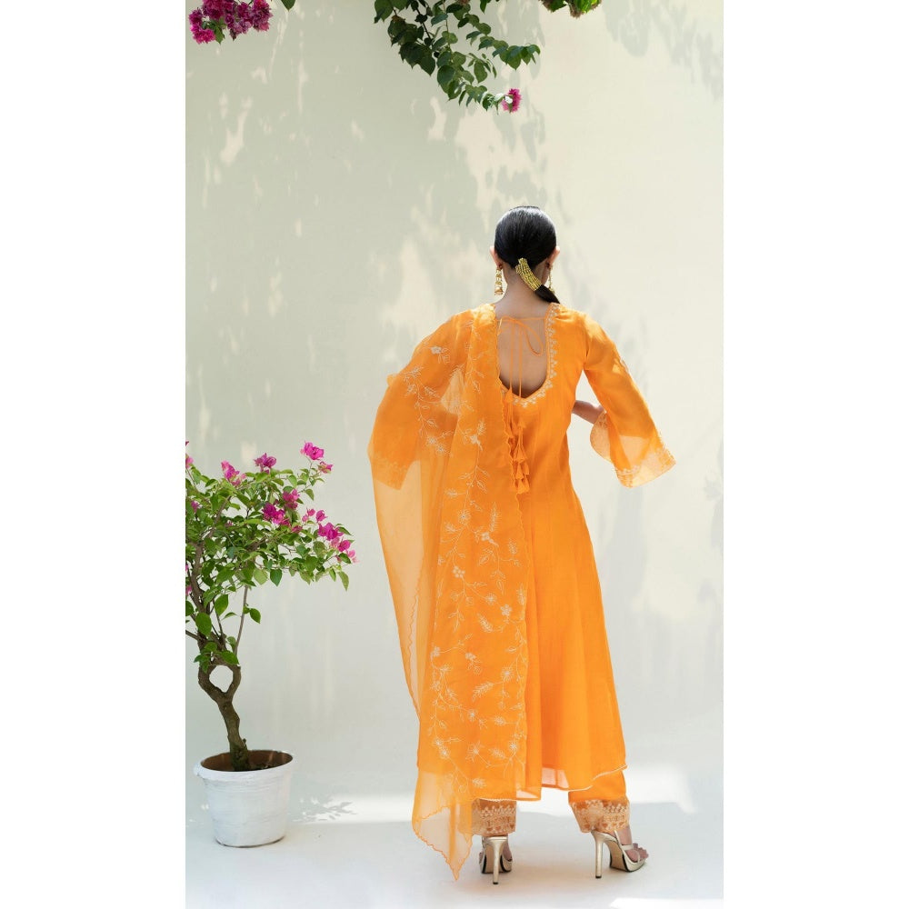 AM by Anita Mittal Orange Dastak Anarkali Kurta with Pant and Dupatta