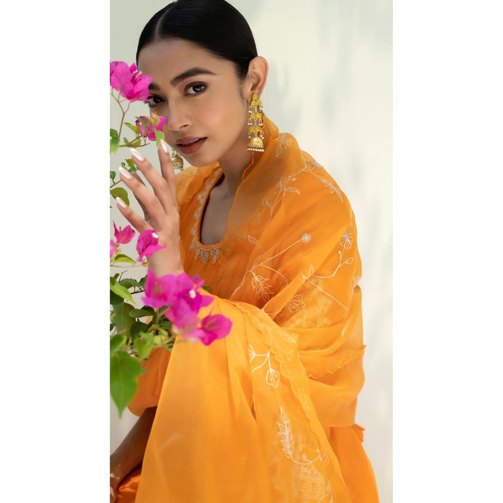 AM by Anita Mittal Orange Dastak Anarkali Kurta with Pant and Dupatta