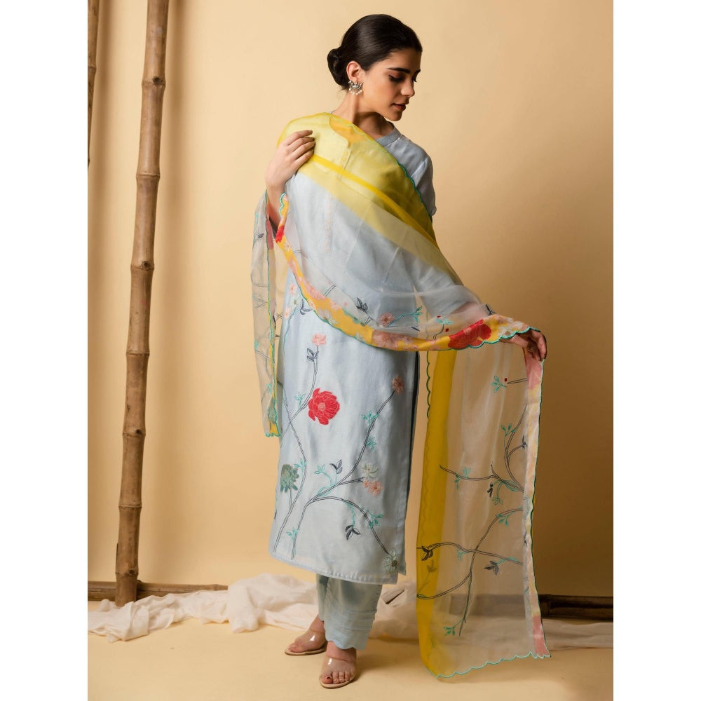 AM by Anita Mittal Blue Floral Applique Kurta with Pant and Dupatta