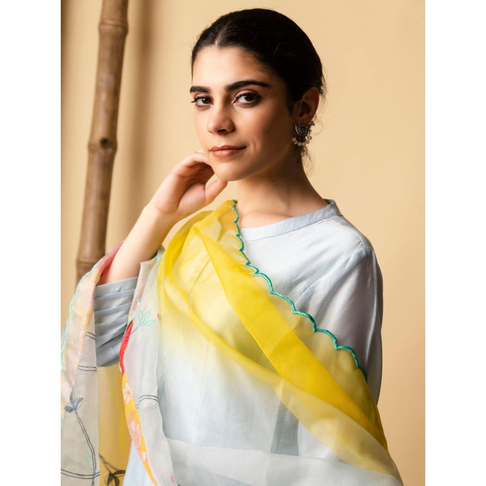 AM by Anita Mittal Blue Floral Applique Kurta with Pant and Dupatta