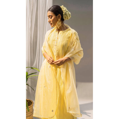AM by Anita Mittal Yellow Alia Kurta with Pant and Dupatta