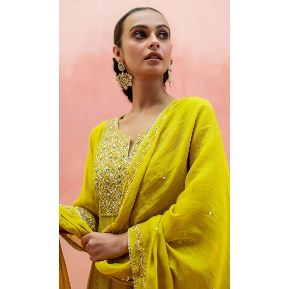AM by Anita Mittal Najma Yellow Anarkali with Pant and Dupatta