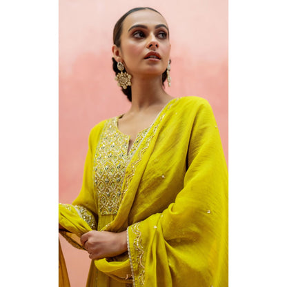 AM by Anita Mittal Najma Yellow Anarkali with Pant and Dupatta