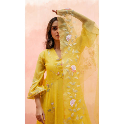 AM by Anita Mittal Pari Yellow Anarkali with Pant and Dupatta