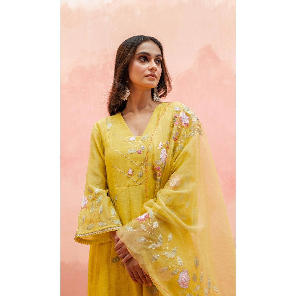 AM by Anita Mittal Pari Yellow Anarkali with Pant and Dupatta