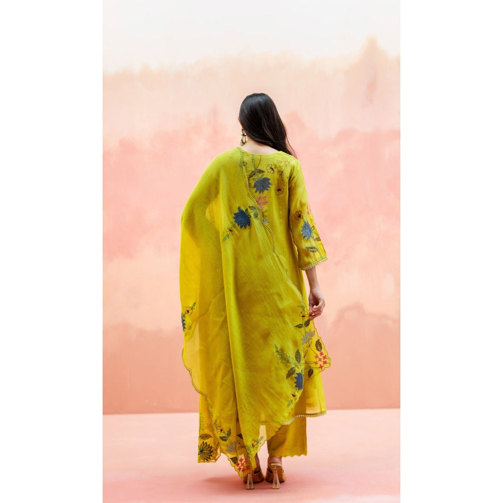 AM by Anita Mittal Falak Anarkali with Pant and Dupatta