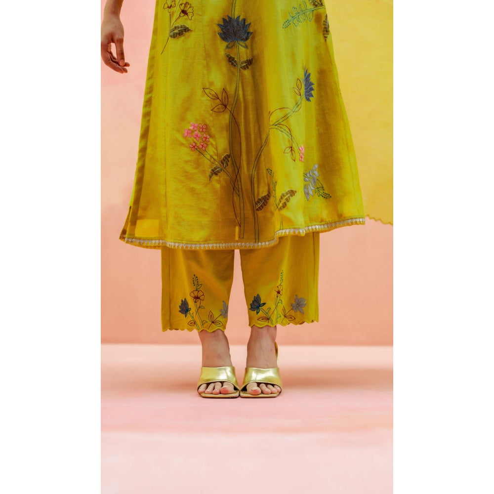 AM by Anita Mittal Falak Anarkali with Pant and Dupatta
