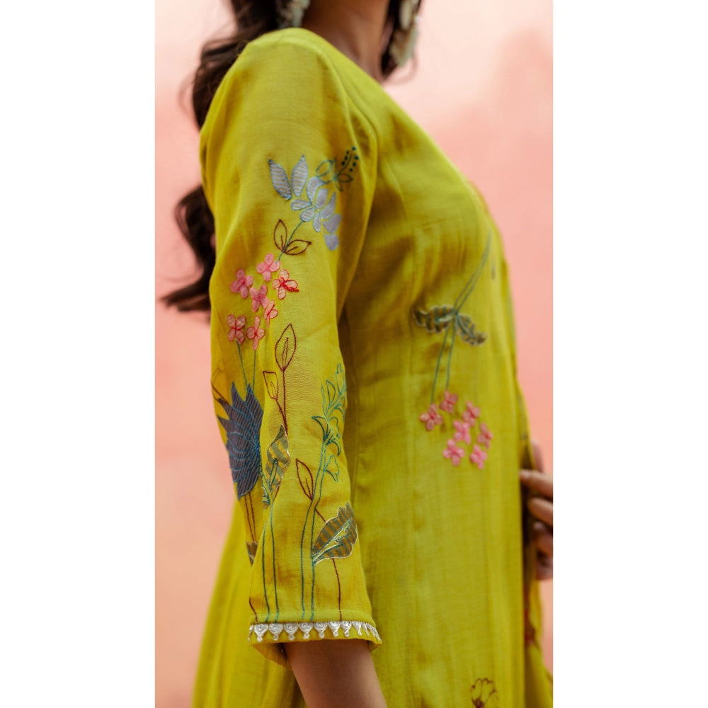 AM by Anita Mittal Falak Anarkali with Pant and Dupatta