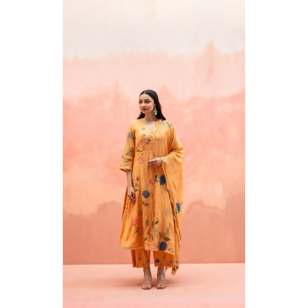 AM by Anita Mittal Falak Orange Anarkali with Pant and Dupatta