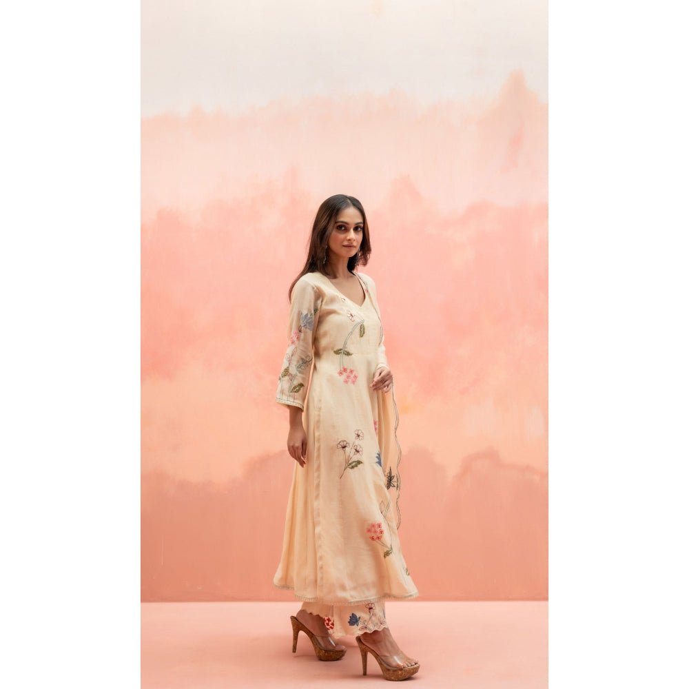 AM by Anita Mittal Falak Beige Anarkali with Pant and Dupatta