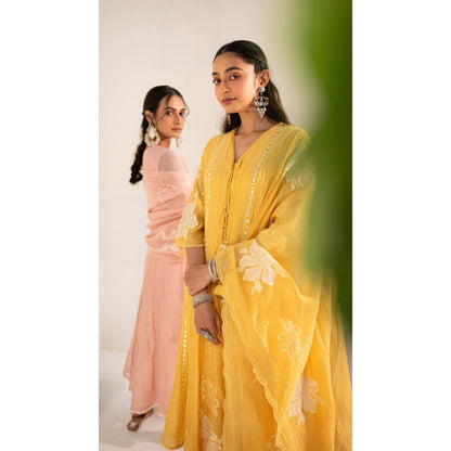 AM by Anita Mittal Zara Pink Anarkali with Pant and Dupatta