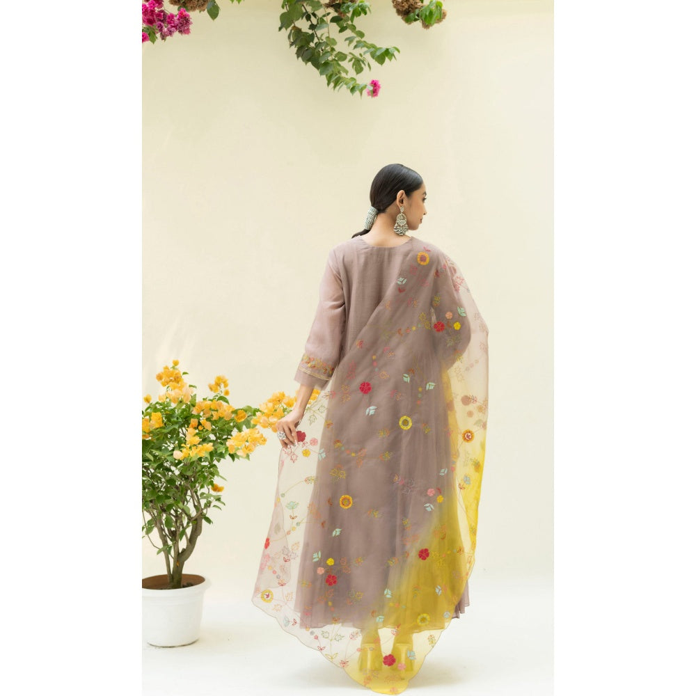 AM by Anita Mittal Soch Side-Gather Brown Anarkali with Pant and Dupatta