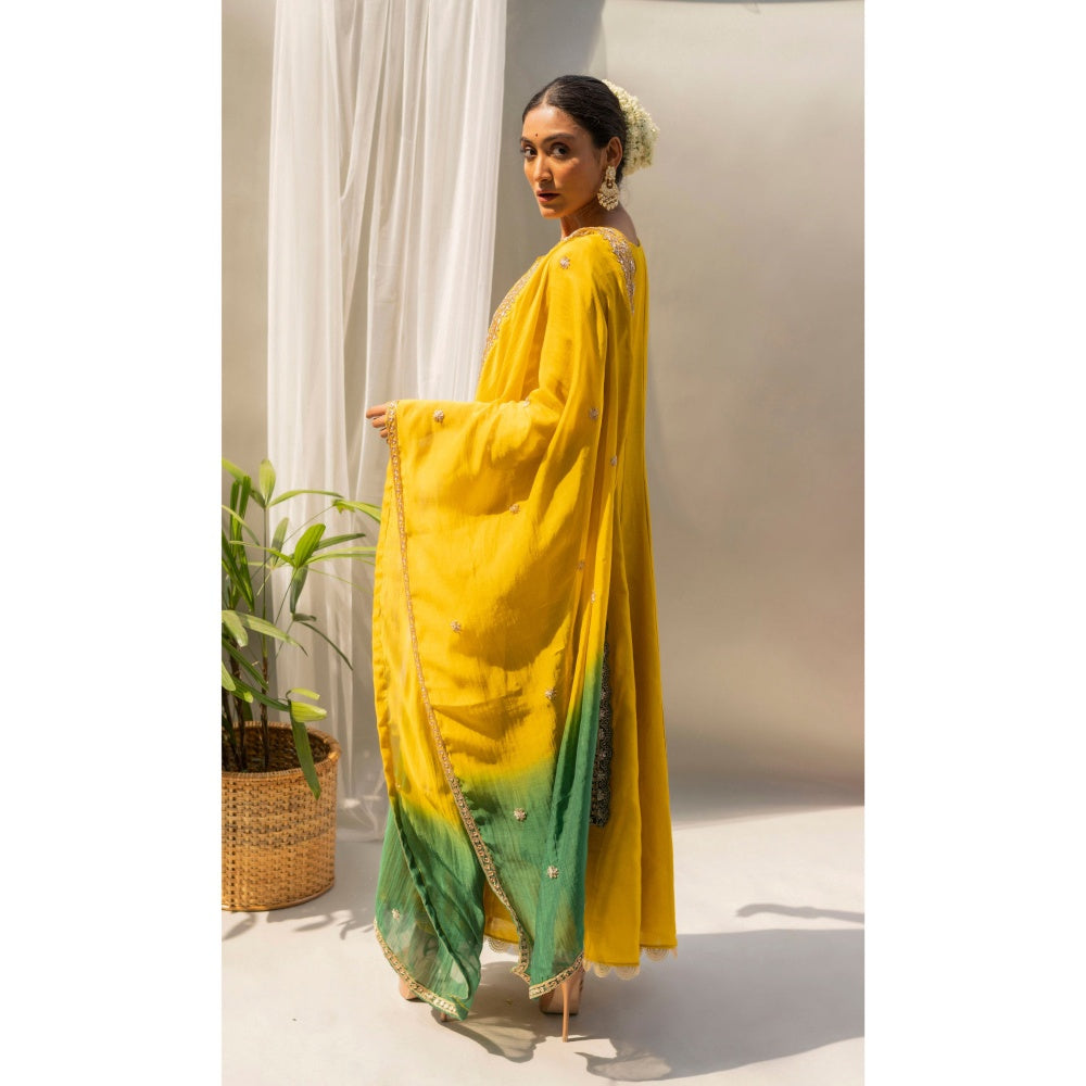 AM by Anita Mittal Dahliya Yellow Anarkali with Pant and Dupatta