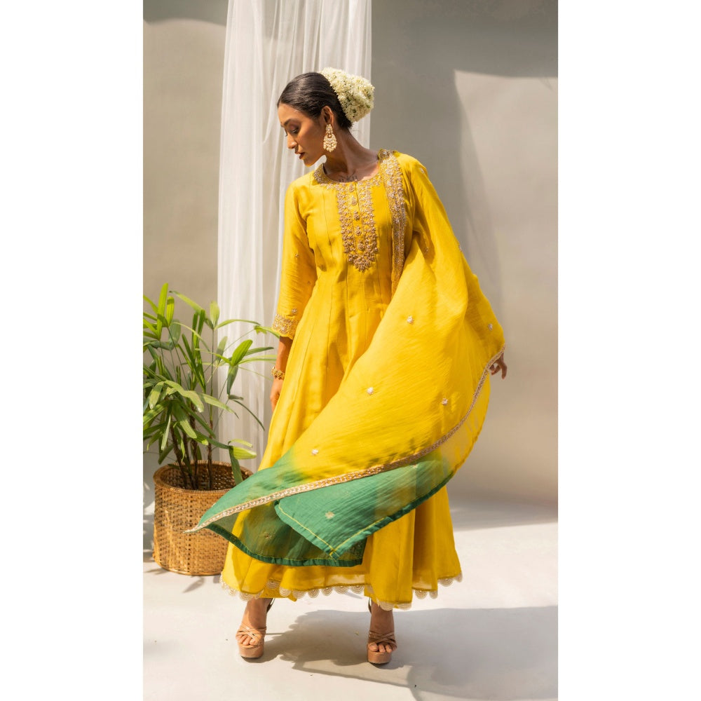 AM by Anita Mittal Dahliya Yellow Anarkali with Pant and Dupatta