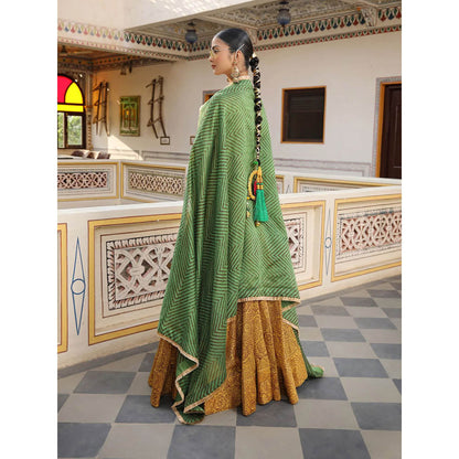 Amoree Zig-Zag Print Aari Embroidered Blouse with Lehenga and Dupatta (Set of 3)