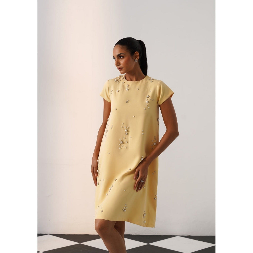 AMOSHI Women Yellow Polyester Mini Dress