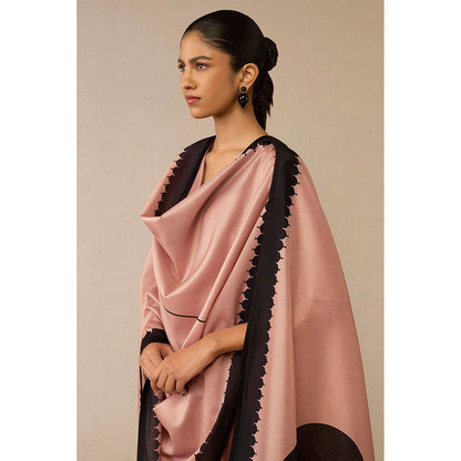 AMPM Dilruba Mauve Anarkali Kurta with Palazzo and Dupatta