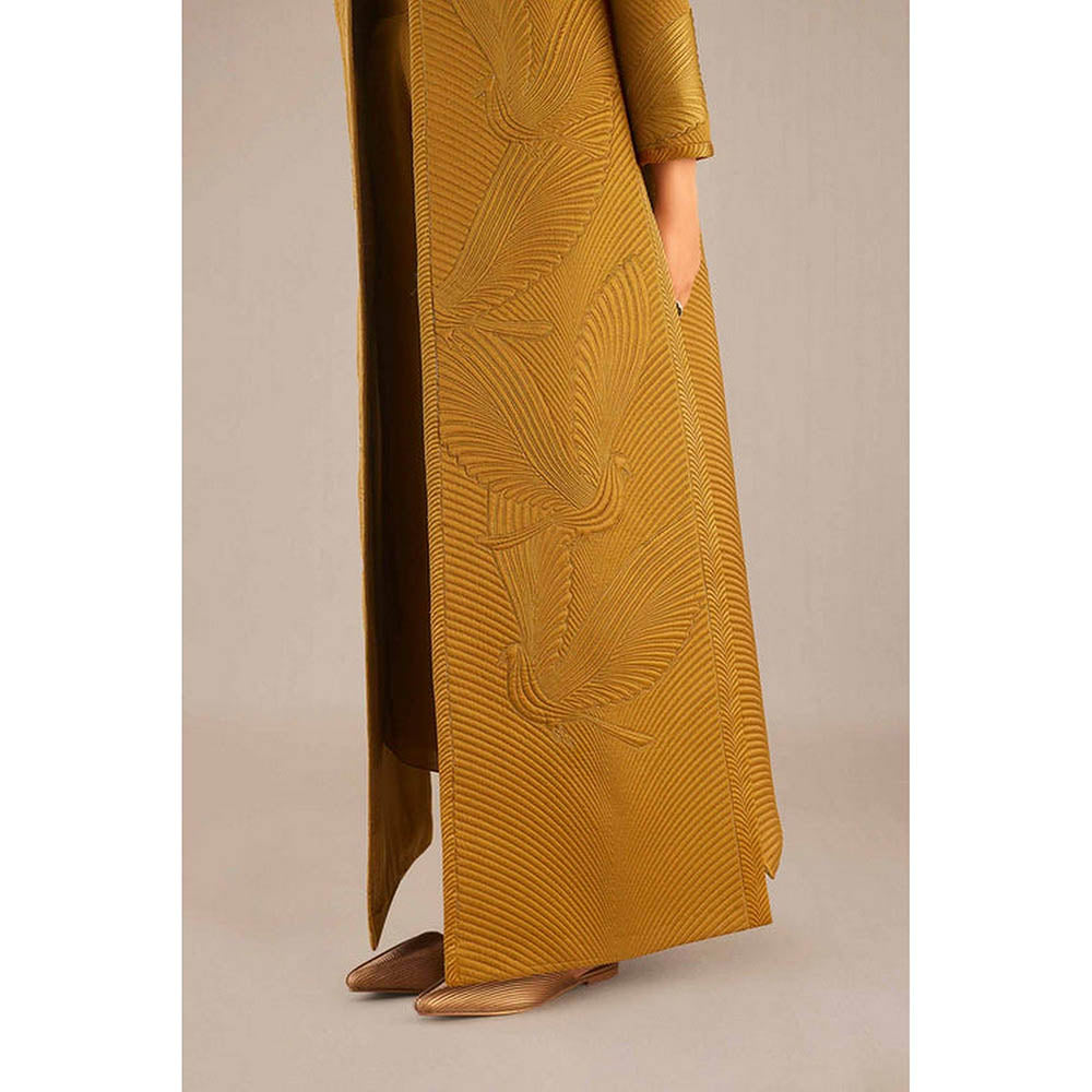 AMPM Nia Brown Jacket with Palazzo and Inner