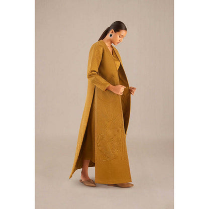 AMPM Nia Brown Jacket with Palazzo and Inner