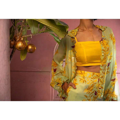 Amrood Yellow Co-Ord (Set of 3)