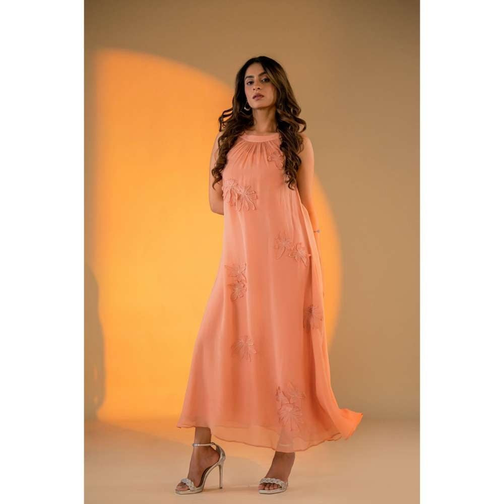 Amrood Peach Embroidered Dress with Inner (Set of 2)